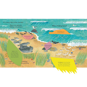Who's Hiding At The Seaside? (National Trust) Board Book