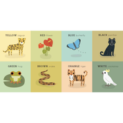 Baby Play: Rainforest Board Book