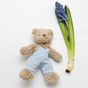 Baby Honey Bear & Baby Blue Overalls