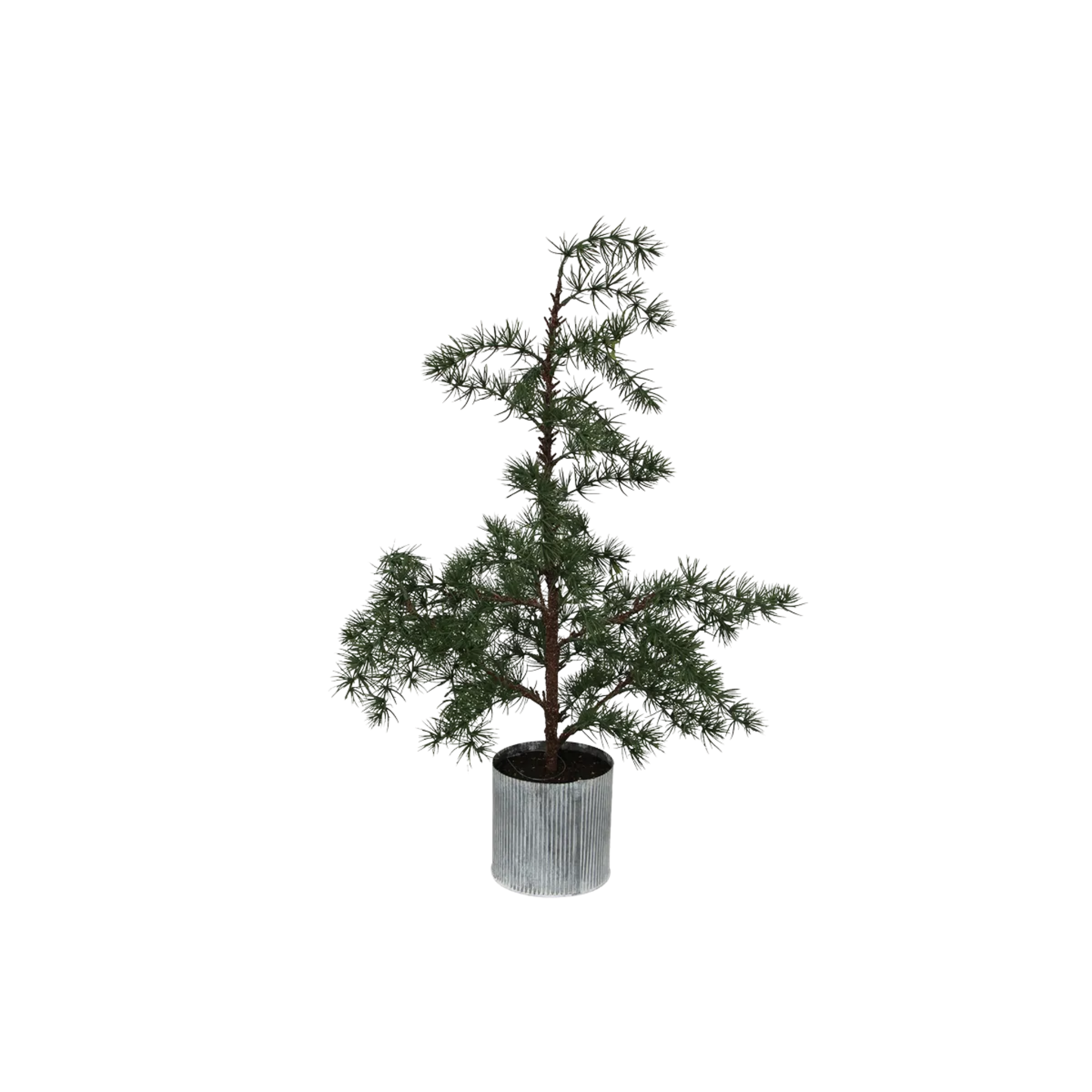 2_5ae3b2ad-107d-4980-bd5d-6595248d7f10.png