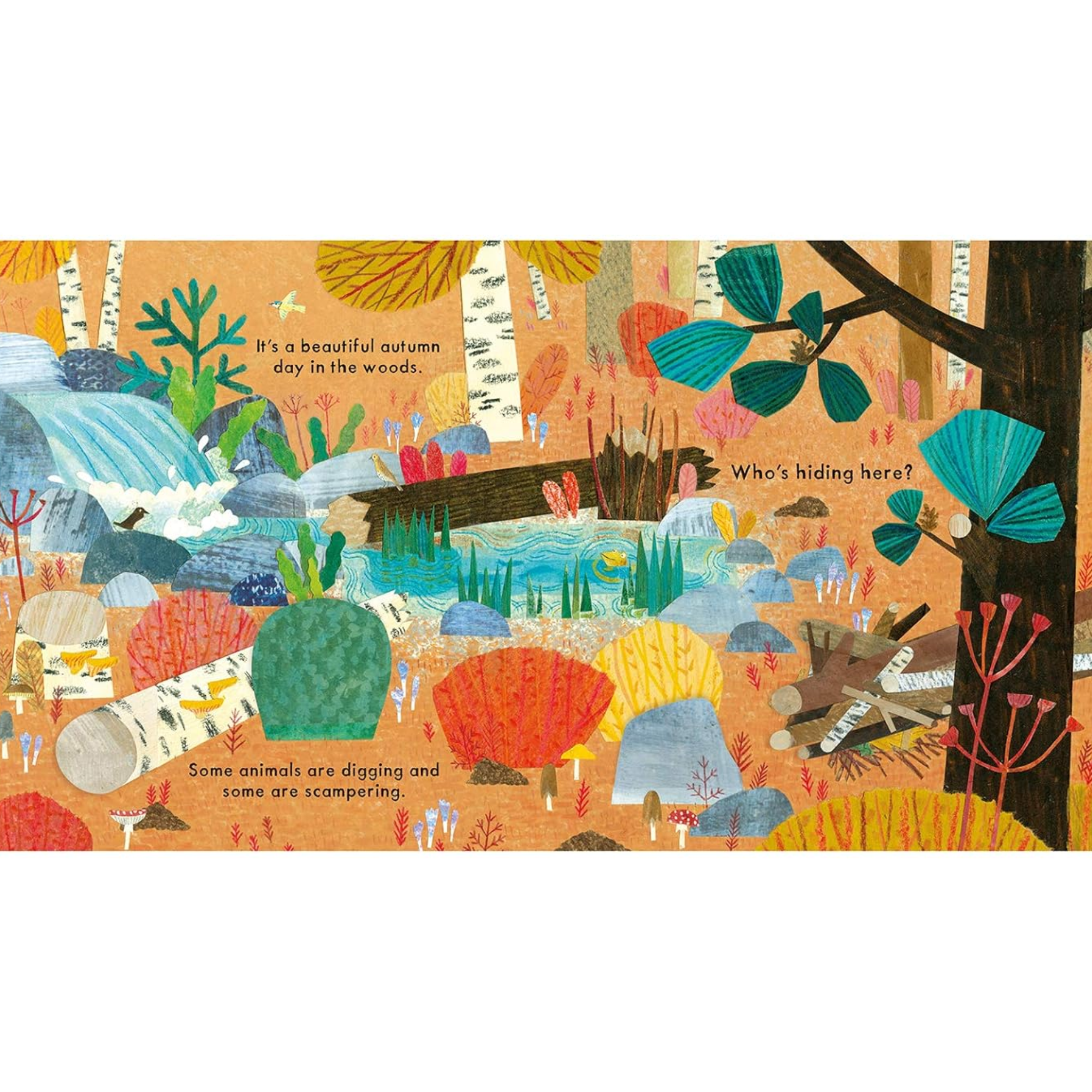Who's Hiding In The Woods? (National Trust) Board Book