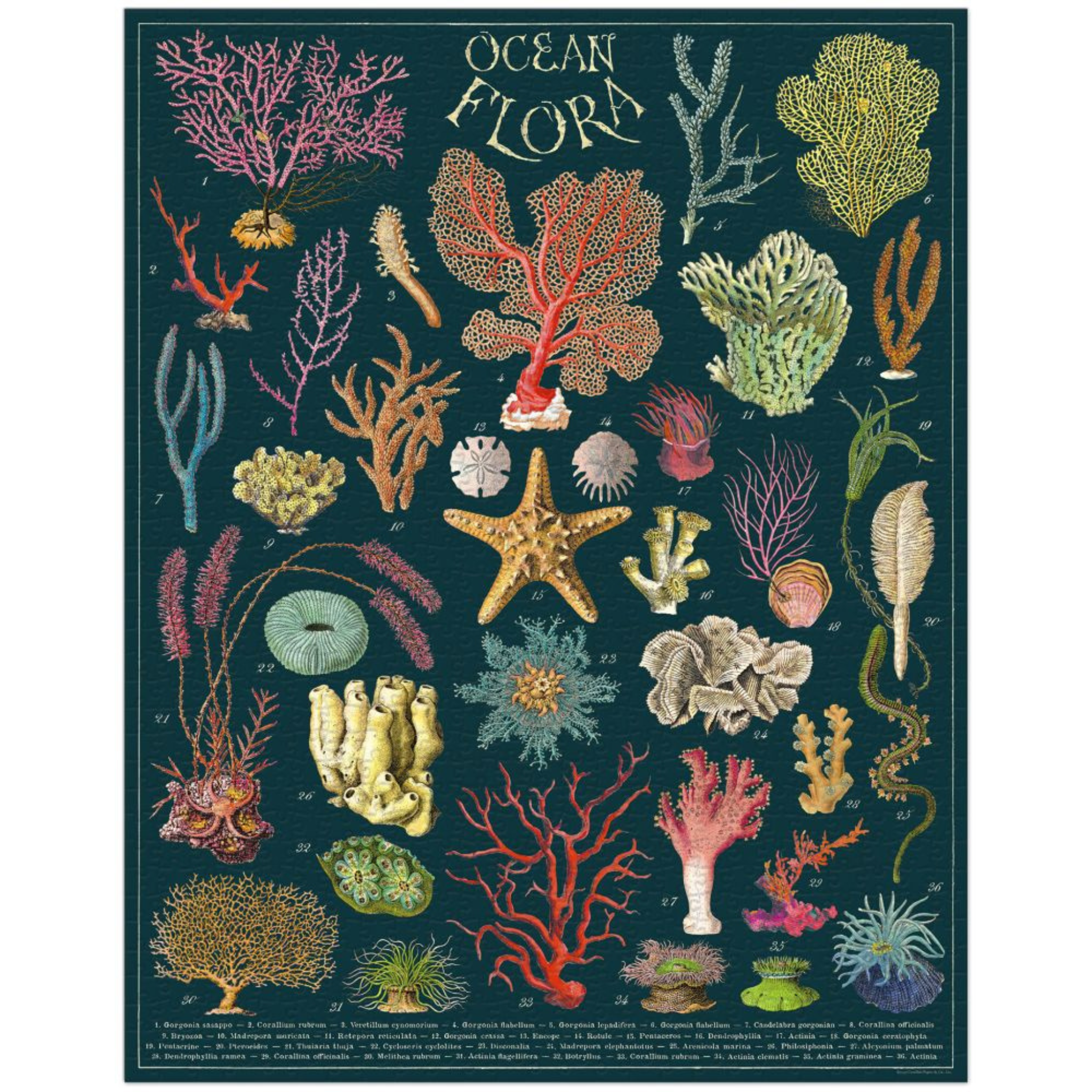 Ocean Flora 1000PC Puzzle