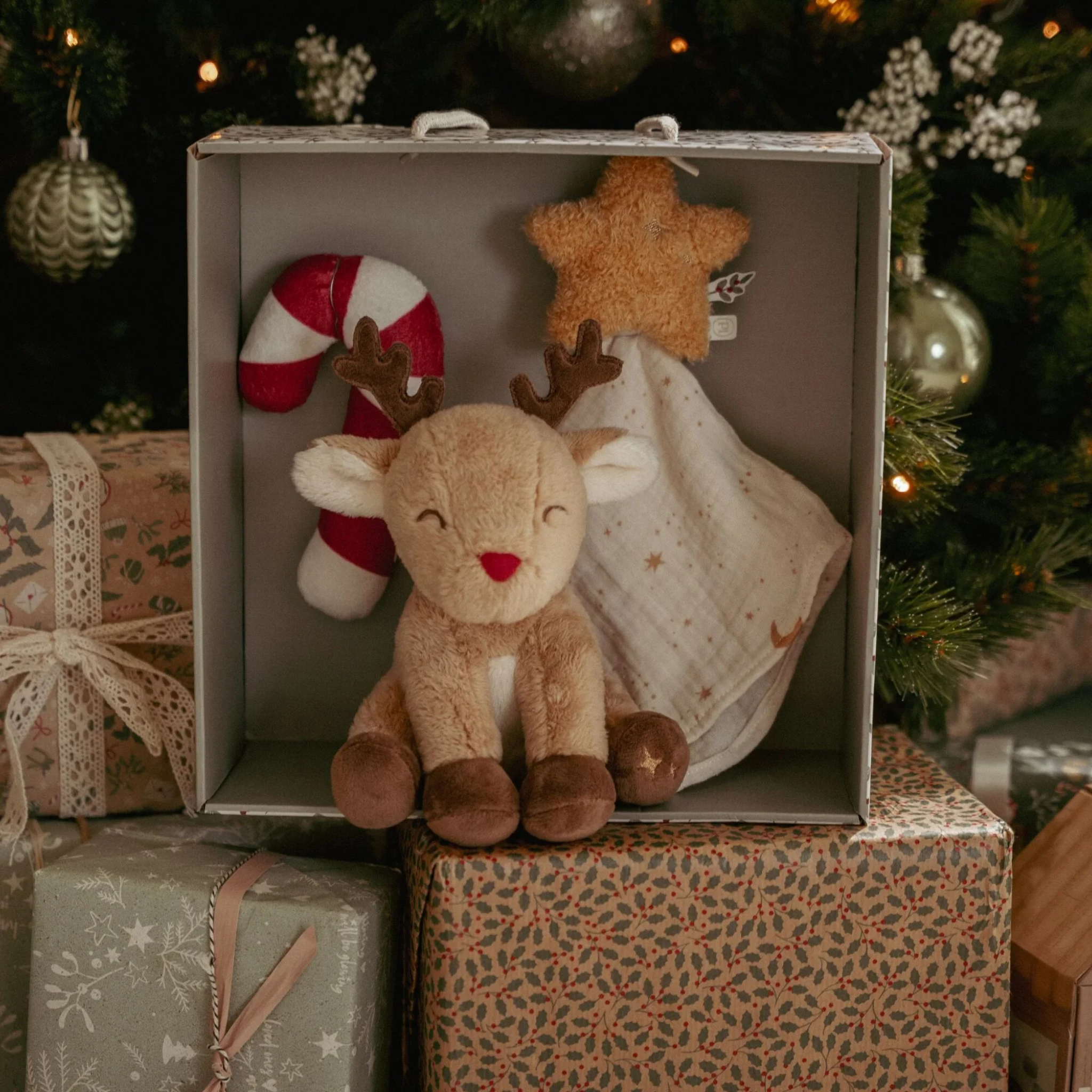 Christmas Gift Set Newborn