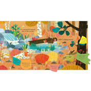 Who's Hiding In The Woods? (National Trust) Board Book