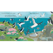 Who's Hiding At The Seaside? (National Trust) Board Book
