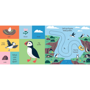 Let's Go Home, Baby Shark Board Book
