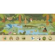 Baby Play: Rainforest Board Book