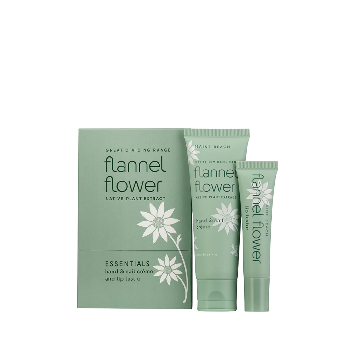 Flannel Flower Essentials Pack