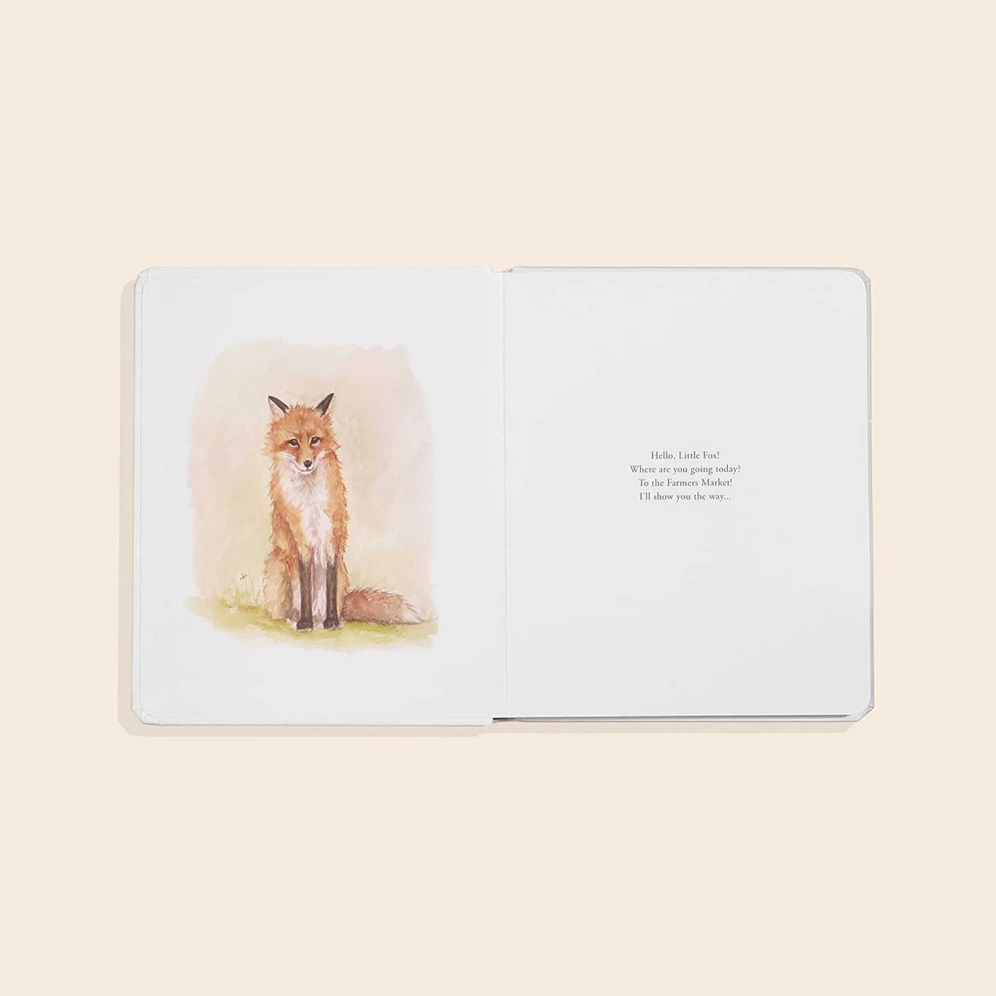 Our Little Adventure To The Farmers Market Board Book