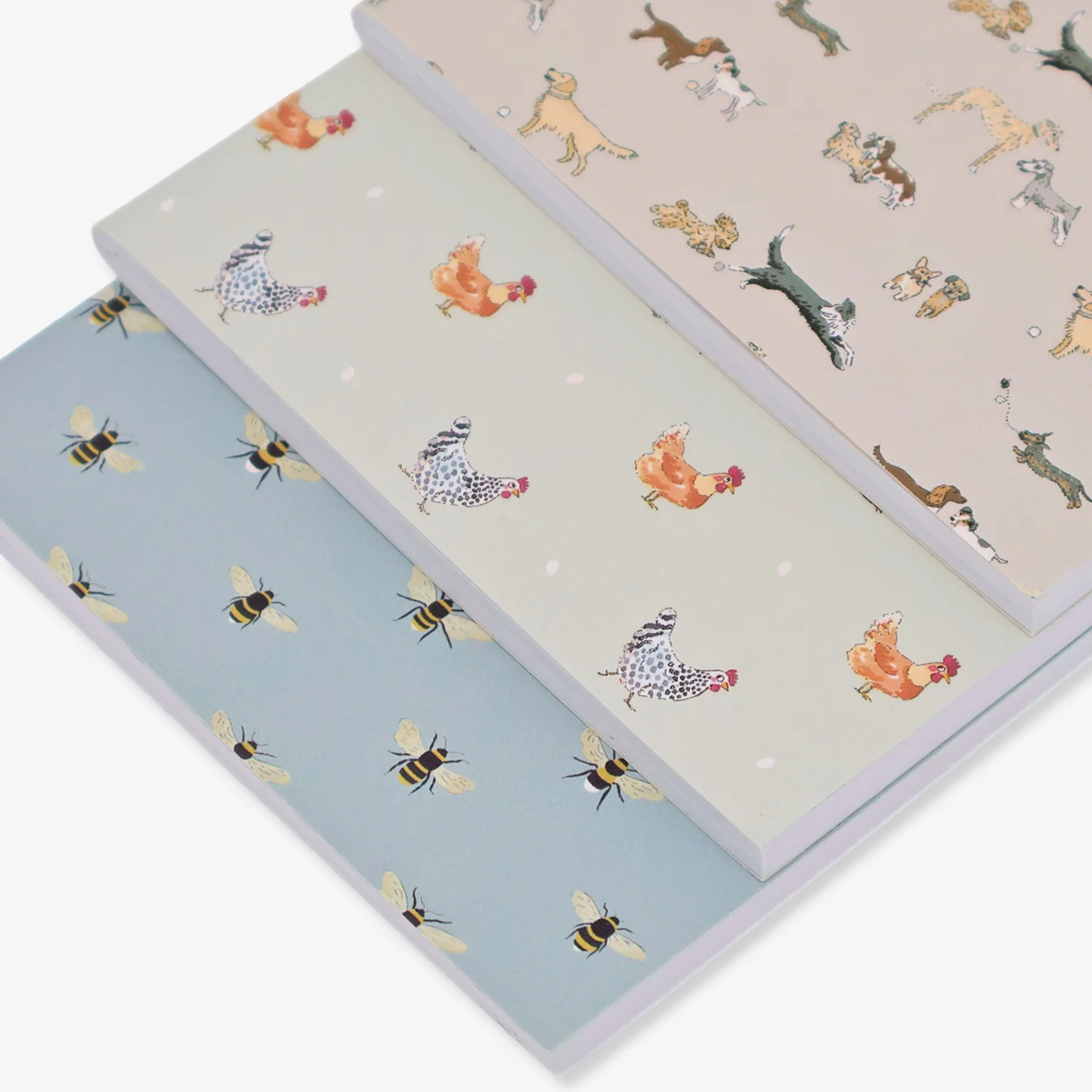 Signature A6 Notebooks (Set of 3) Lay a Little Egg, Doggy Daycare and Bees