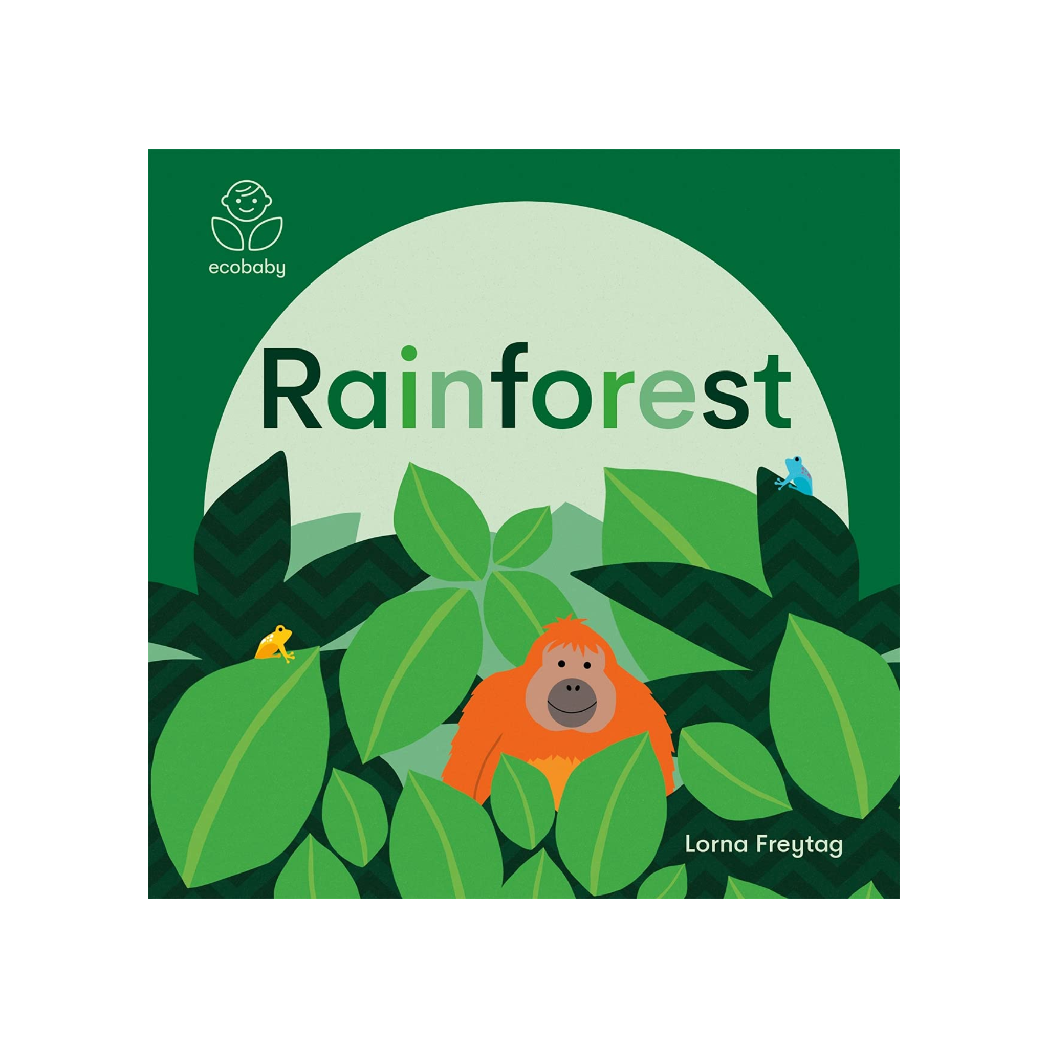 Eco Baby: Rainforest Board Book