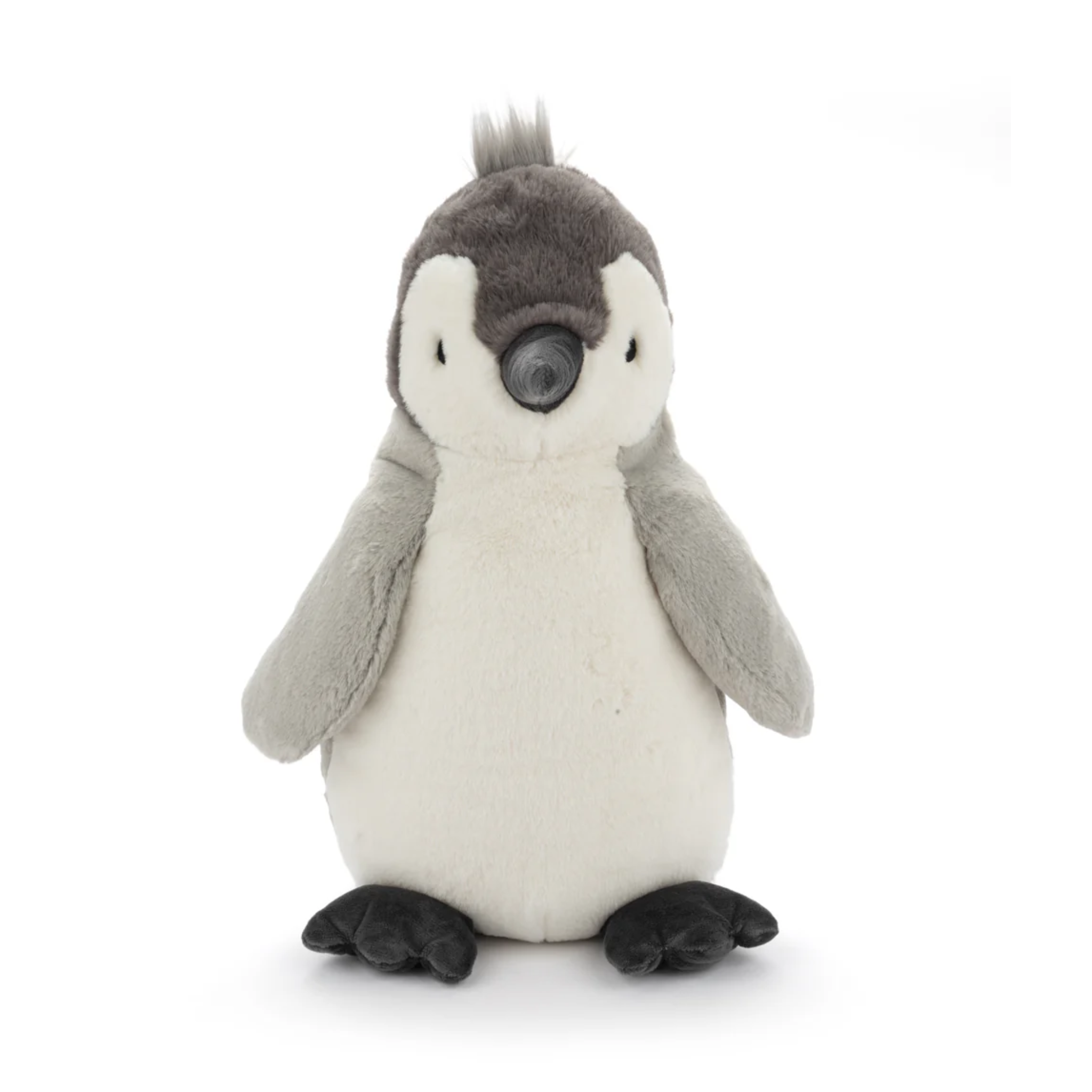 Big Paulo The Penguin