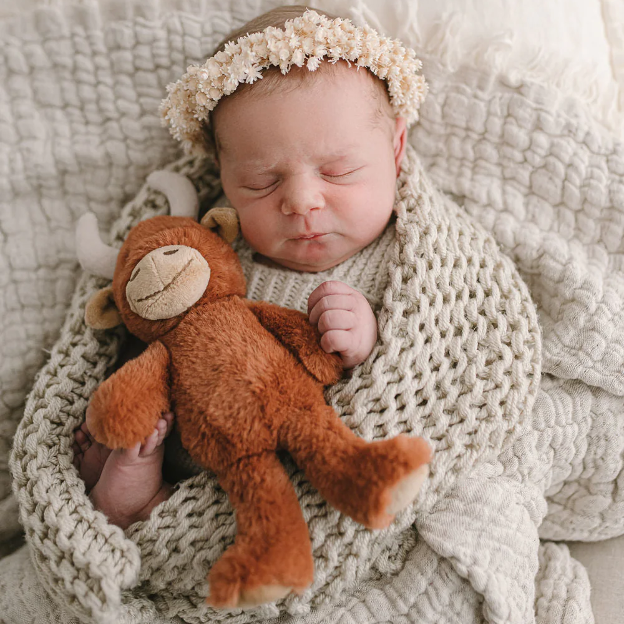 Henry The Highland Cow Rattle Rust