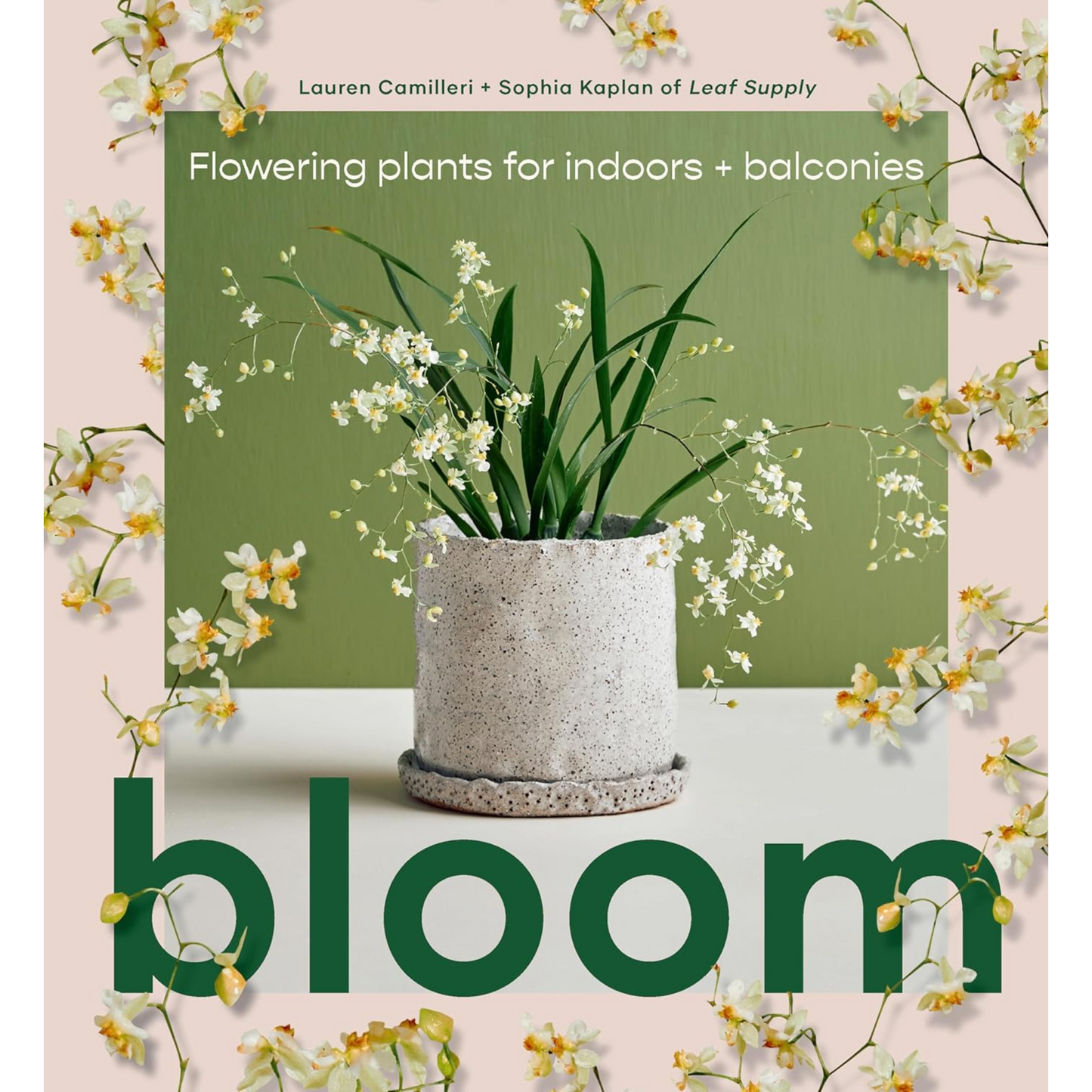 Bloom: Flowering Plants For Indoors and Balconies