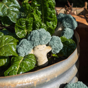 Beau Broccoli The Green Friend