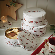 Robin's Retreat Set Of 3 Round Cake Tins