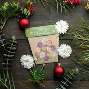 Christmas Native Daisies Gift of Seeds