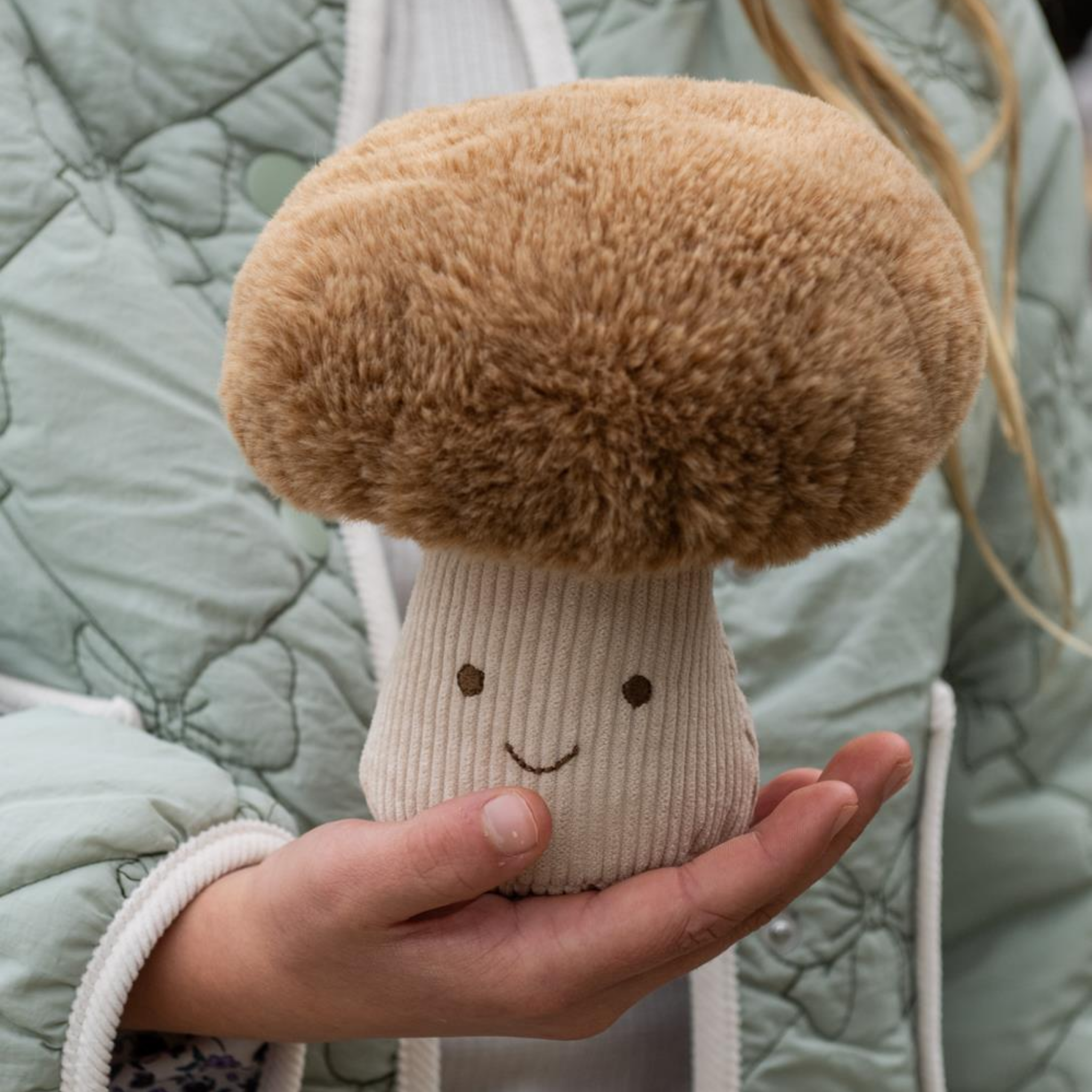 Monty Mushroom The Honest Friend