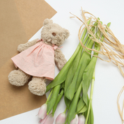 Baby Honey Bear & Baby Pink Dress