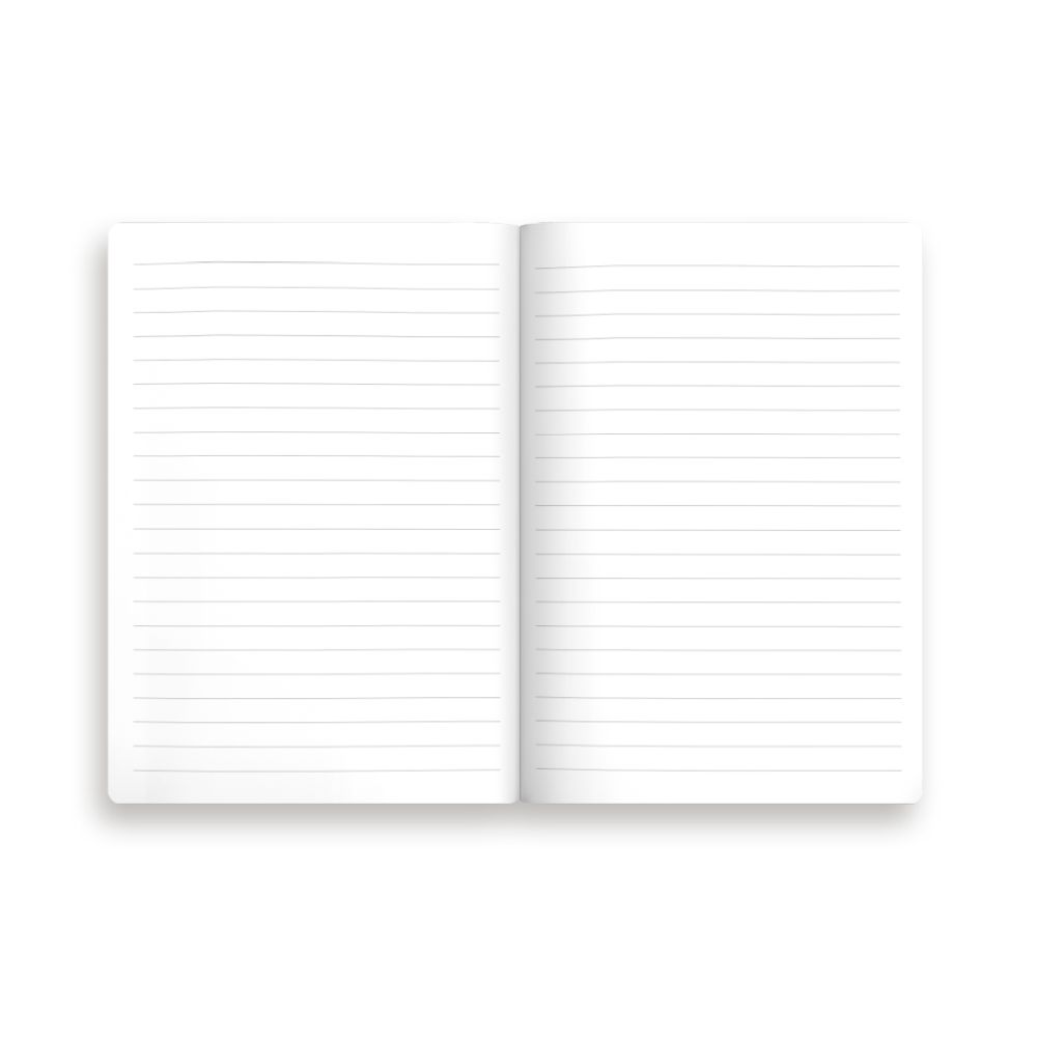 Medium Notebook Set Blue Stripe Floral