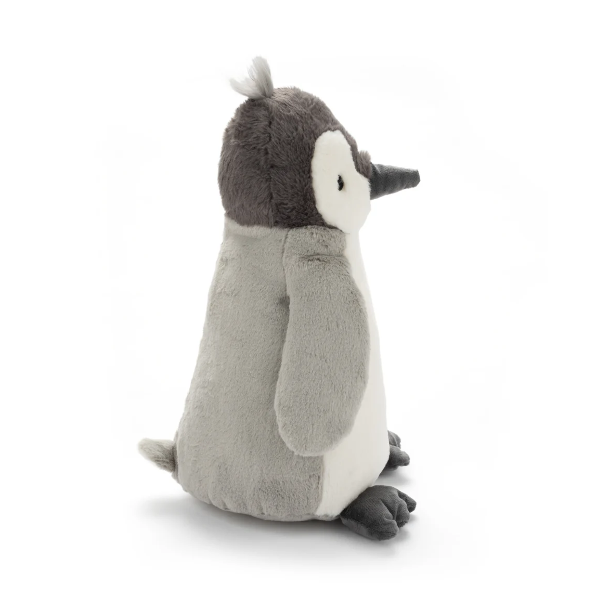 Big Paulo The Penguin