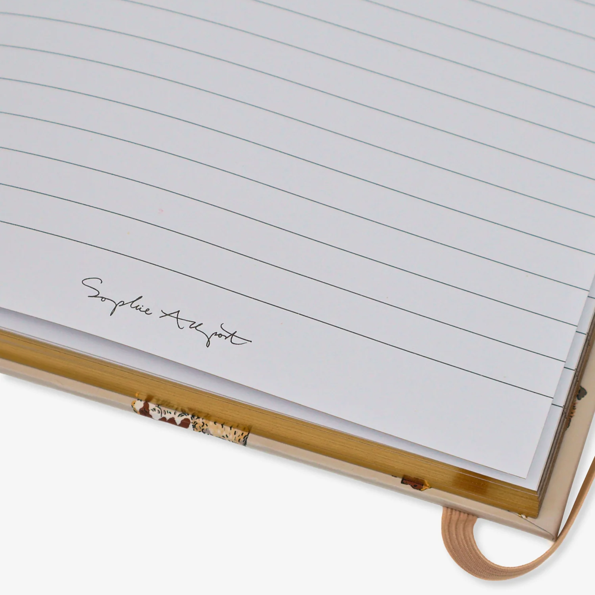 Doggy Daycare A5 Notebook