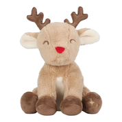 Christmas Gift Set Newborn