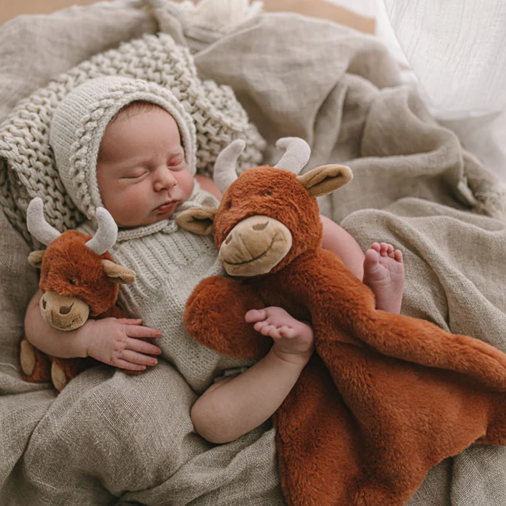 Henry The Highland Cow Rattle Rust