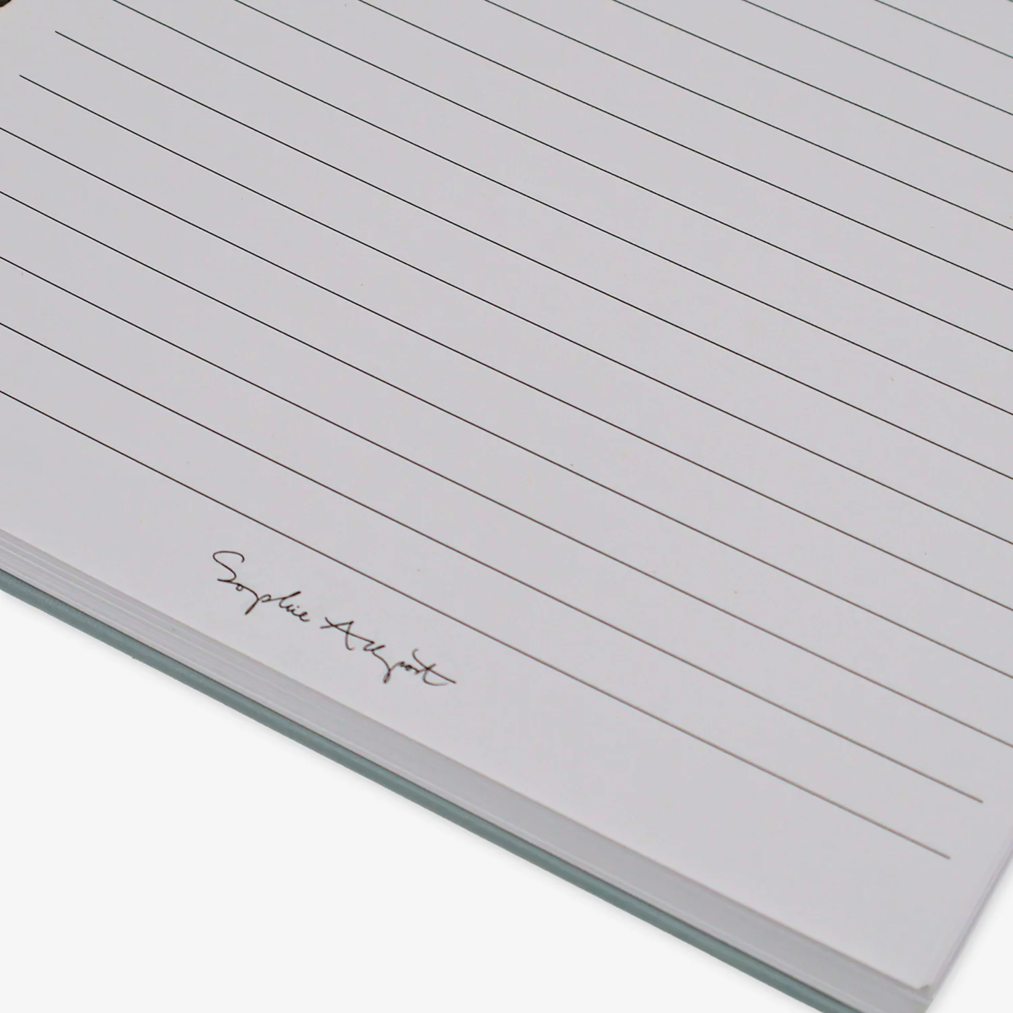 Bees B5 Spiral Notebook