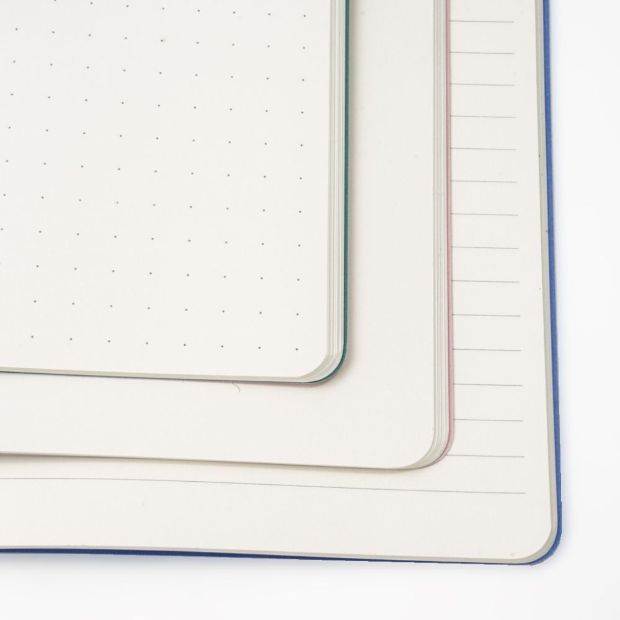 Signature A6 Notebooks (Set of 3) Lay a Little Egg, Doggy Daycare and Bees