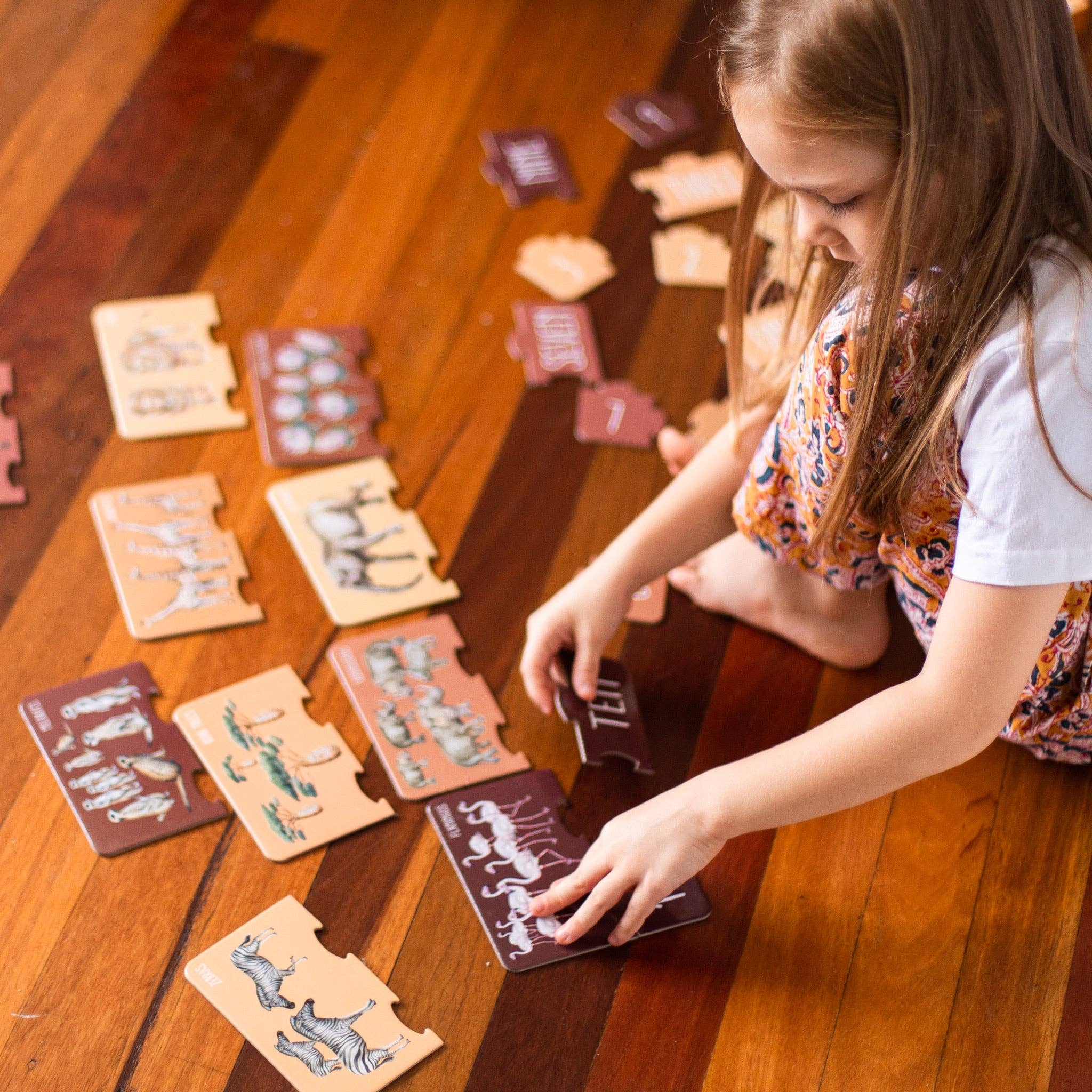 Africa Counting Puzzle