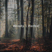 North Woods Soy Candle 4oz