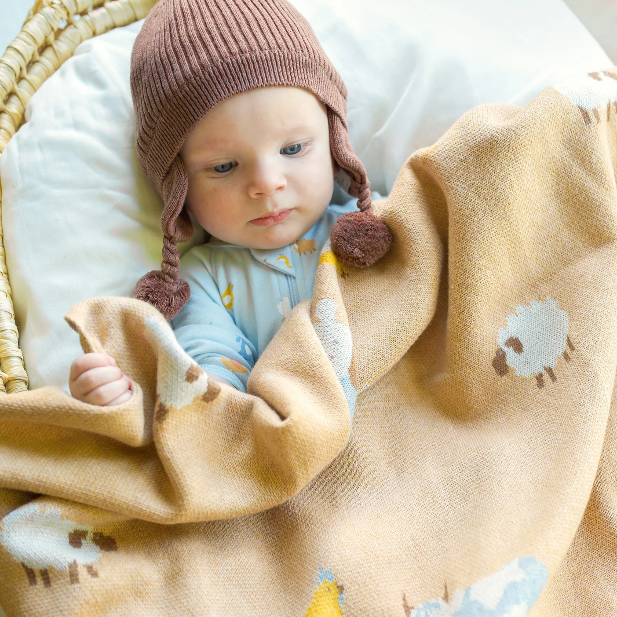 Organic Blanket Mystical Farm Buddies