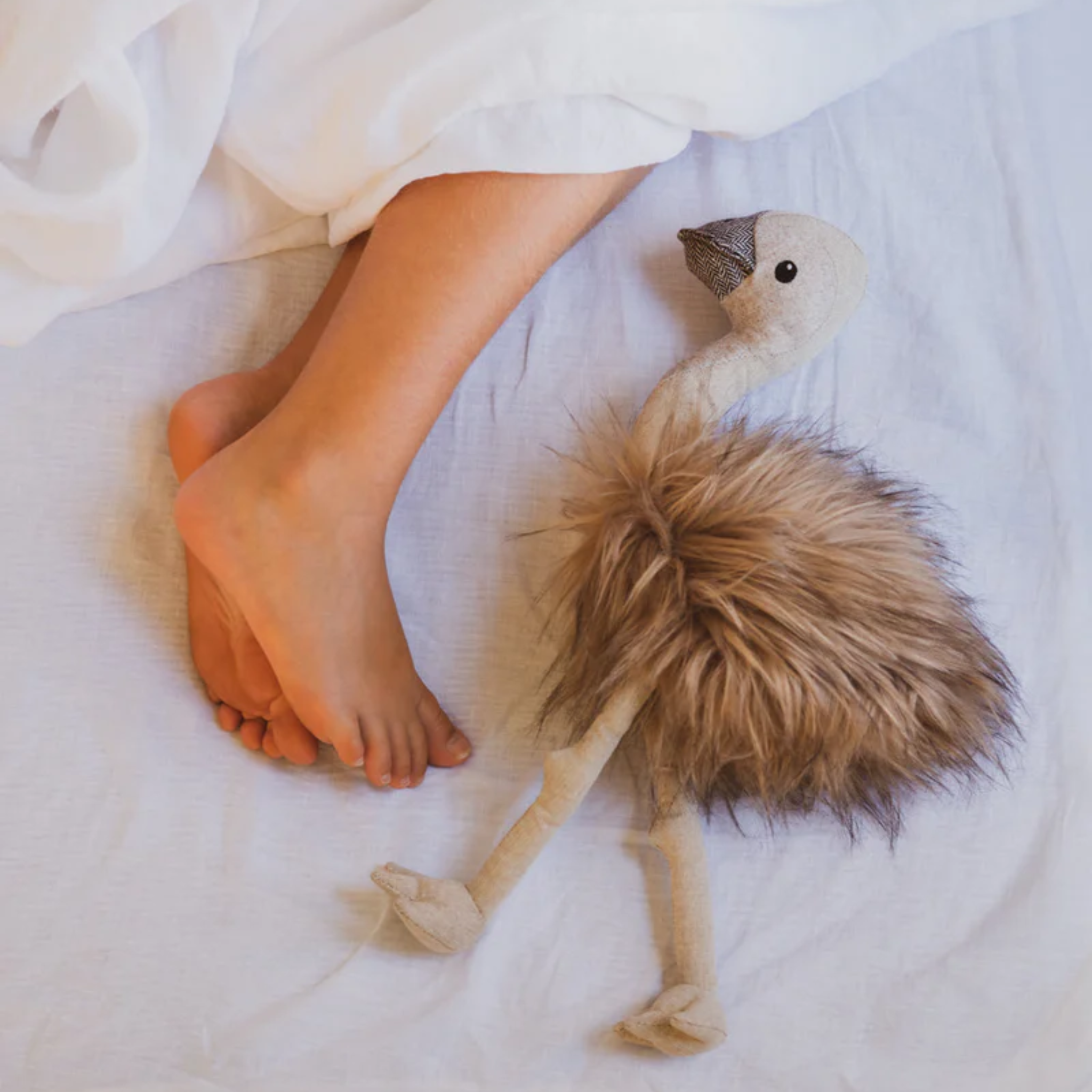 Eddie The Emu Natural