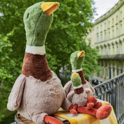 Big Hugo The Mallard Duck