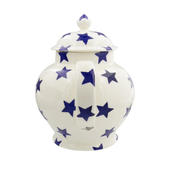 Blue Star 4 Mug Teapot