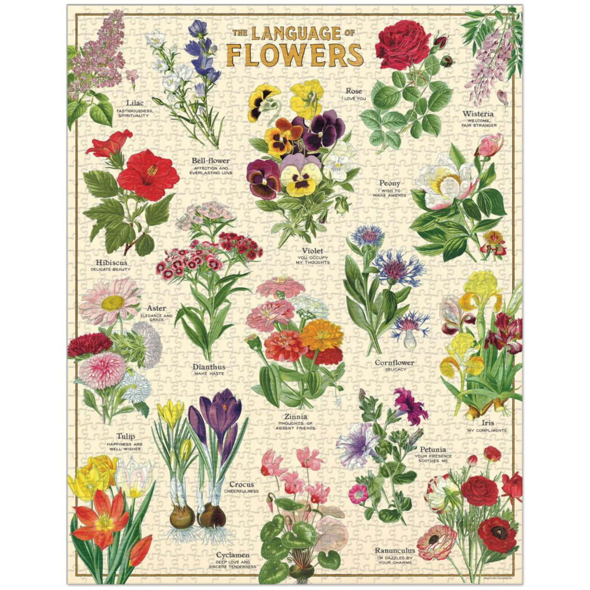 Language Of Flowers 1000PC Puzzle