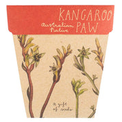 Kangaroo Paw Gift of Seeds