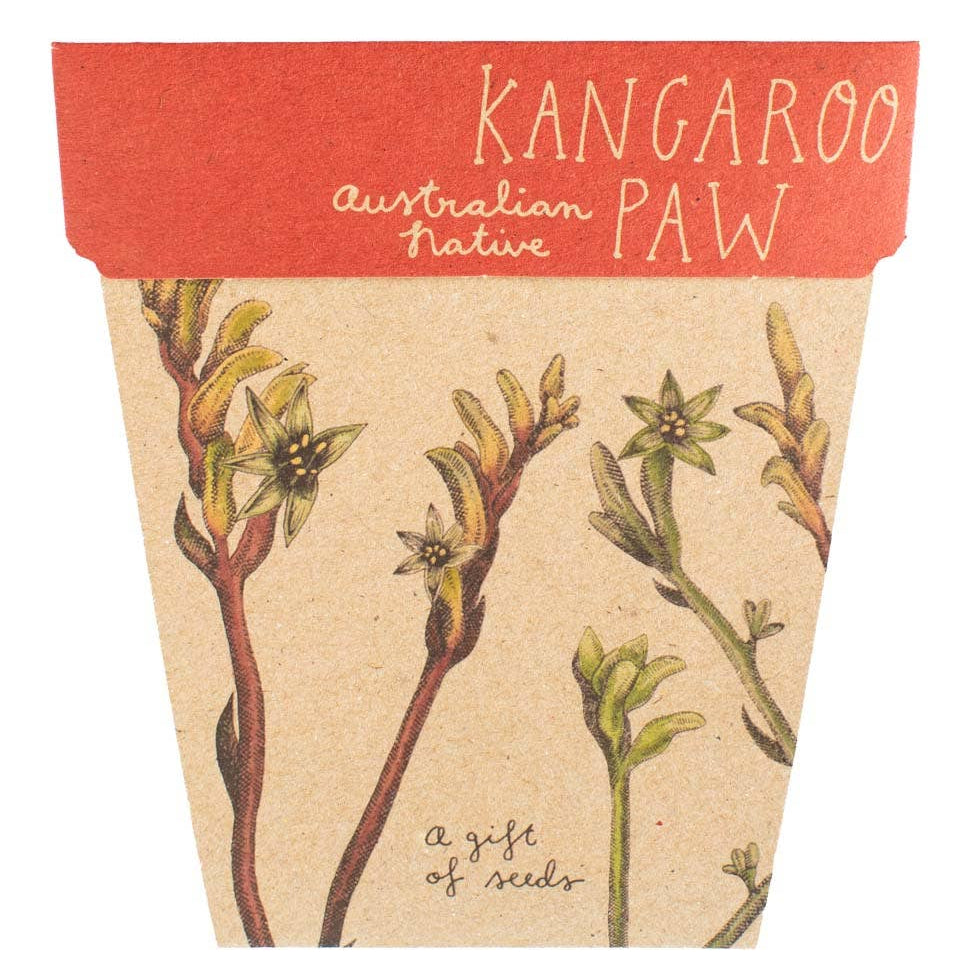 Kangaroo Paw Gift of Seeds