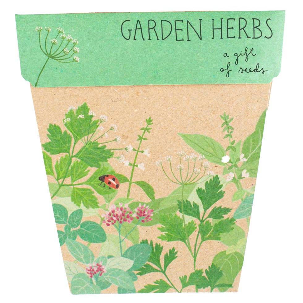 Garden Herbs Gift of Seeds