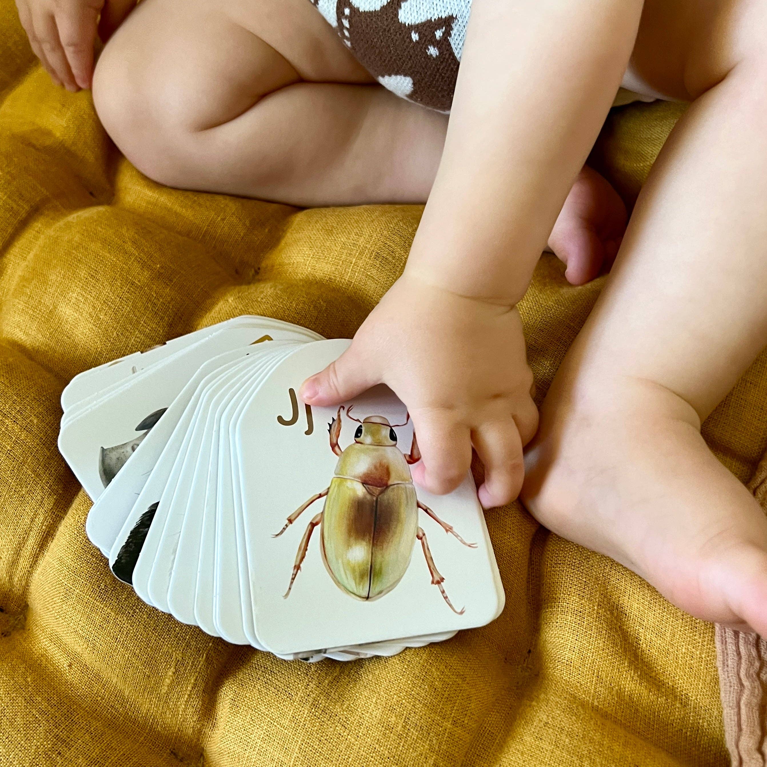 Australian Ringed Animal Alphabet Flash Cards