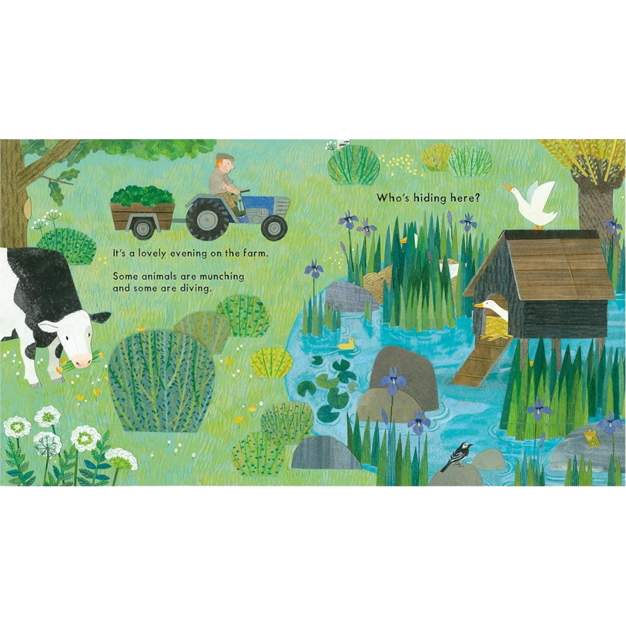 Who's Hiding On The Farm? (National Trust) Board Book