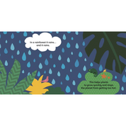 Eco Baby: Rainforest Board Book