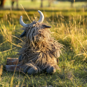 Henry The Highland Cow Charcoal