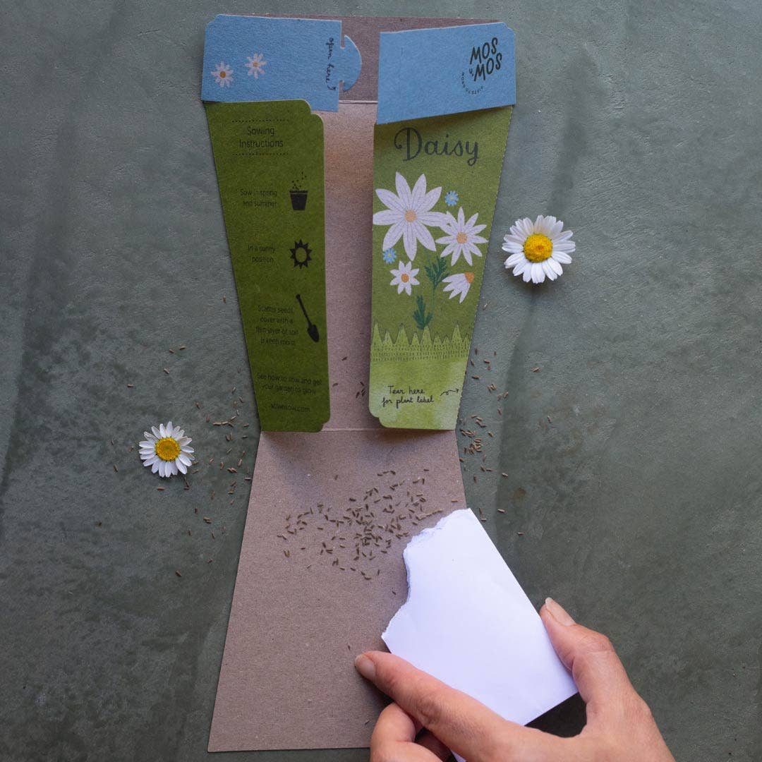 Daisy Gift of Seeds