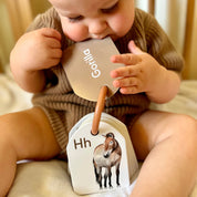 Animal Ringed Alphabet Flash Cards