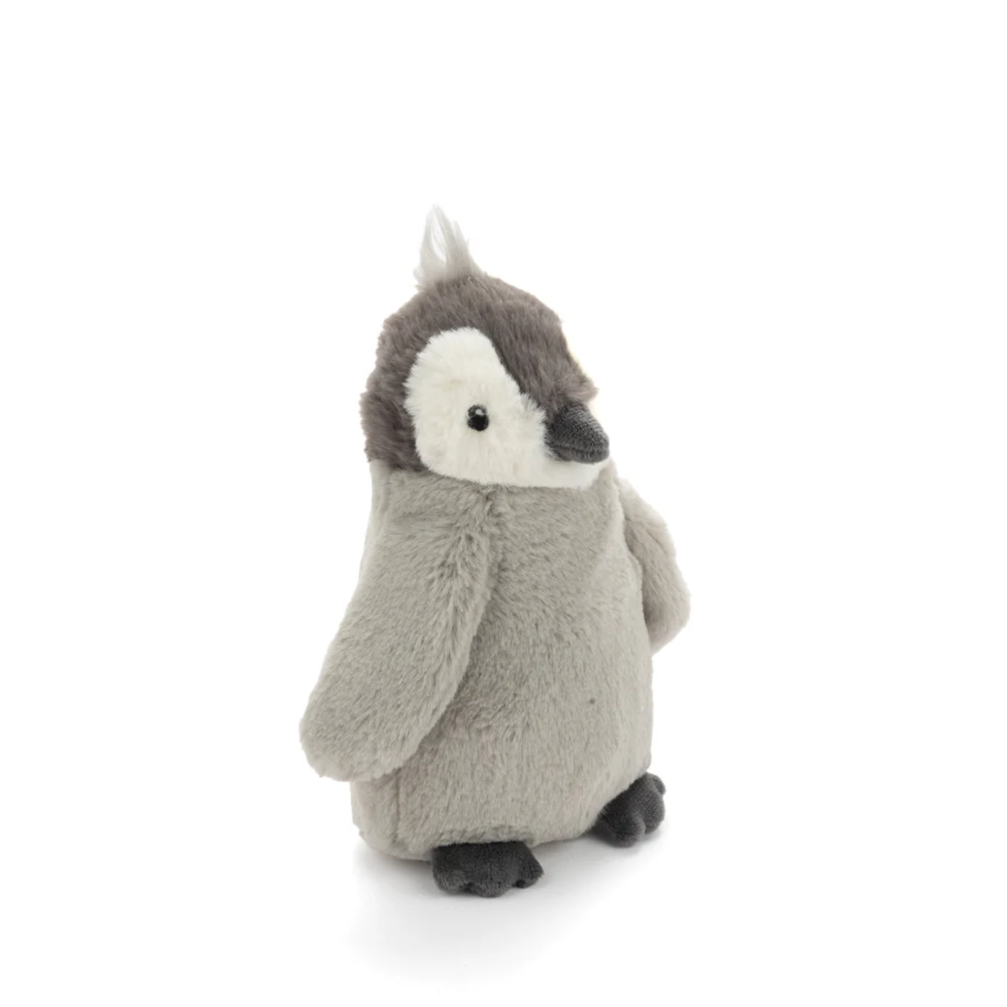 Paulo The Penguin