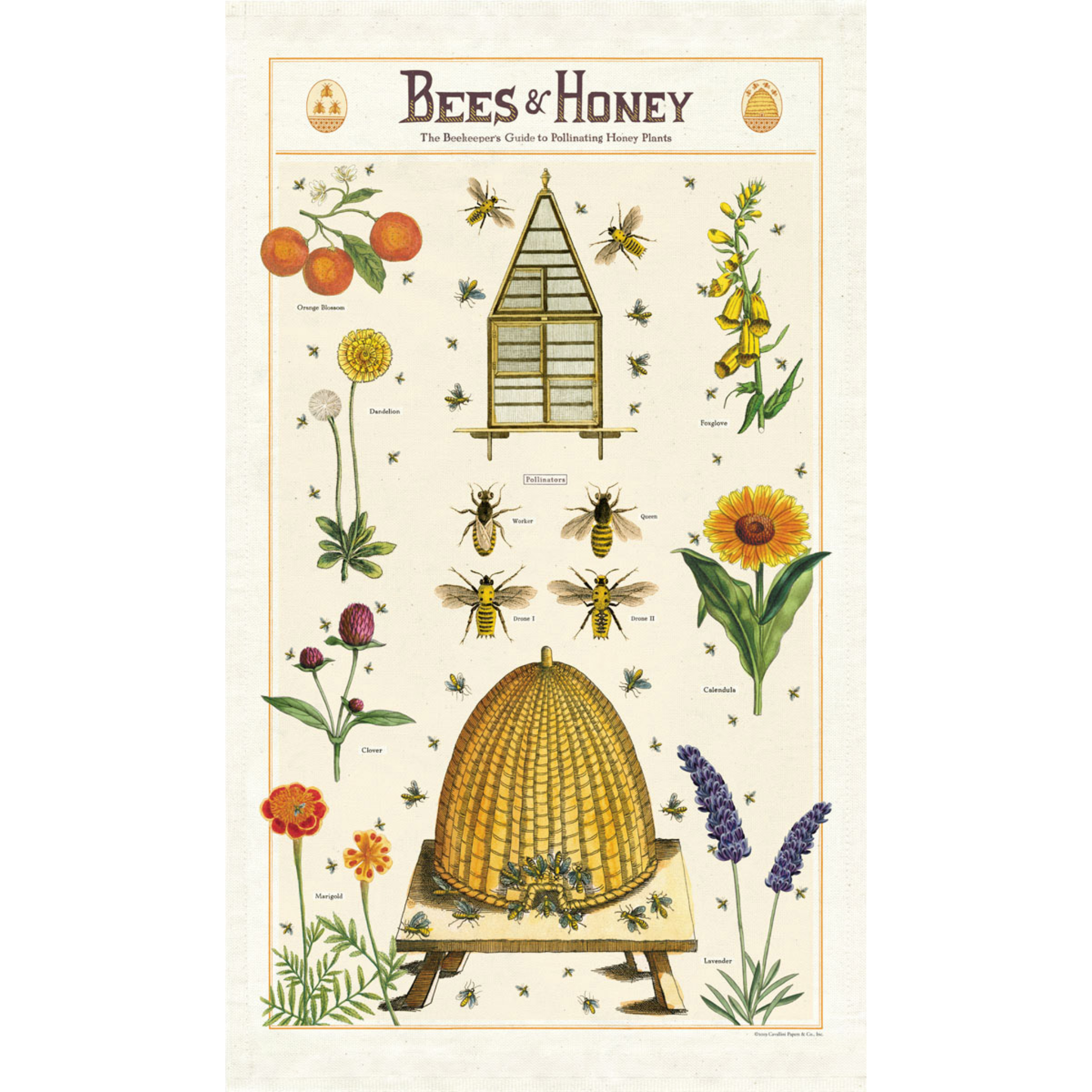 Bees & Honey Tea Towel