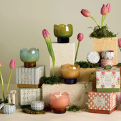 Tulip Glass Candle Bronzed Gardenia 5.5oz