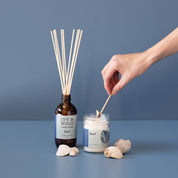 Homebody Reef Reed Diffuser